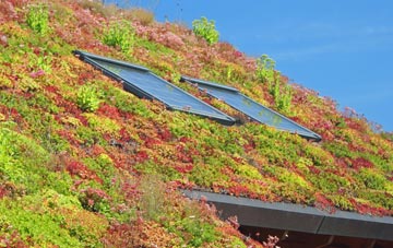 Heatley living roof systems