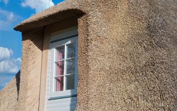 Heatley thatch roof disadvantages