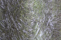 Heatley fibreglass roof work